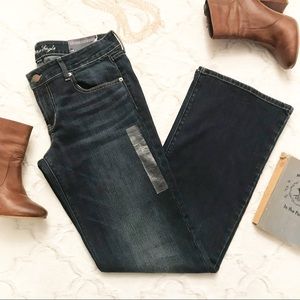 American Eagle Favorite Boyfriend NWT 14L